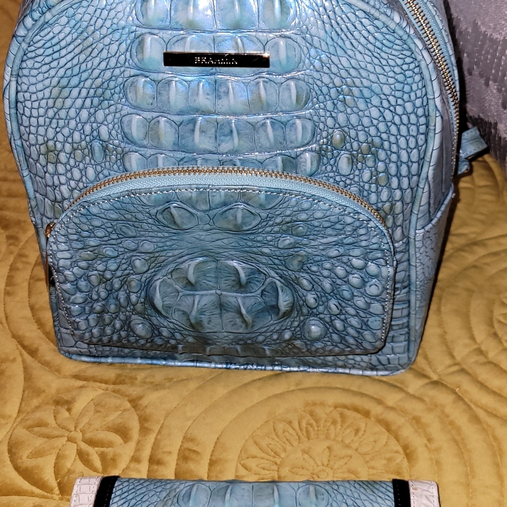 Brahmin Mini Dartmouth & Ady Wallet--Astral Melbourne
